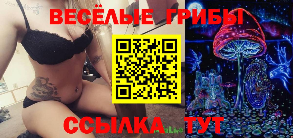 Ревда  Псилоцибиновые грибы ЛСД  Вход с VPN  Галлюциногенные грибы Psilocybe 