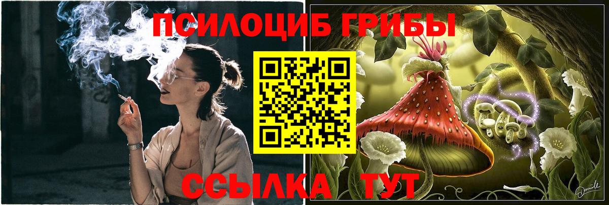 Псилоцибиновые грибы Psilocybine cubensis Ревда