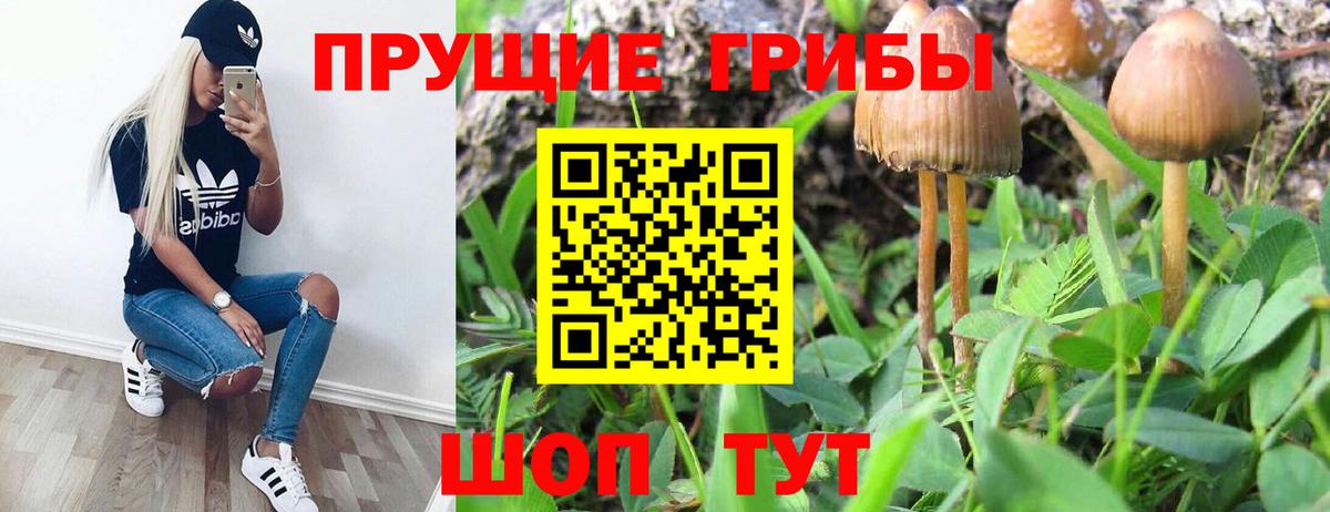 Галлюциногенные грибы Magic Shrooms  Ревда  Галлюциногенные грибы мицелий 