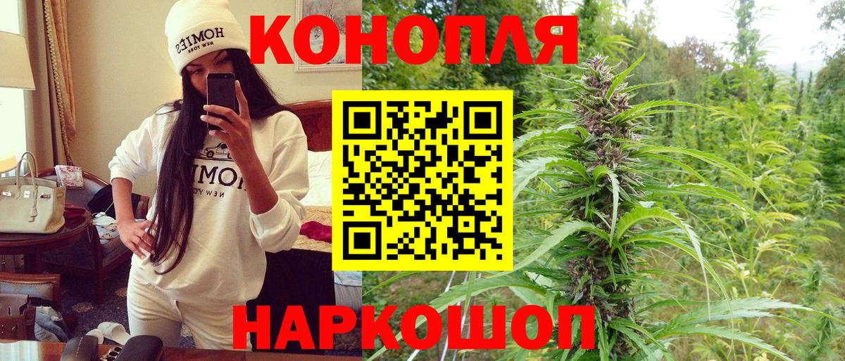 Шишки марихуана план  МАРИХУАНА MAZAR  Ревда  Вход с VPN  Конопля ГИДРОПОН  Бошки марихуана LSD WEED 